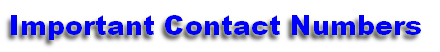 wp8c944f8b.png
